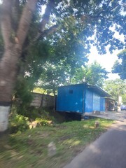 A blue structure beside a road, surrounded by trees and grass.