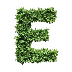 Green leaves form the letter E
