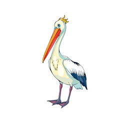 Vector illustration of a cartoon animation of pelican, painted in watercolor, isolated on a white background, pelican animation
