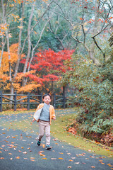 Fototapeta premium One Chinese boy enjoying beautiful autumn foliage scenery of vibrant maple trees during December at Dujuan Valley in Xikou, Fenghua, Ningbo, Zhejiang, China
