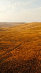 Golden Rolling Hills Landscape In Autumn