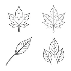 set of leaves vector illustration