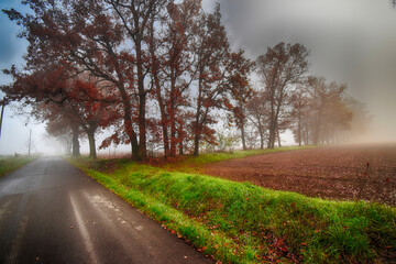 Nebbia in Pianura Padana - Fraz. Passalacqua - Tortona - Alessandria - Piemonte - Italia