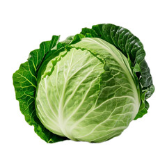 Obraz premium Fresh Cabbage Head Isolated on Transparent Background