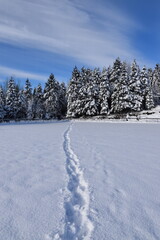 Footprints in the snow, Sainte-Apolline, Qjuébec, Canada