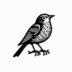 vector illustration of a bird, cartoon bird