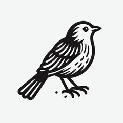 vector illustration of a bird, cartoon bird