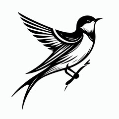 vector illustration of a bird, cartoon bird