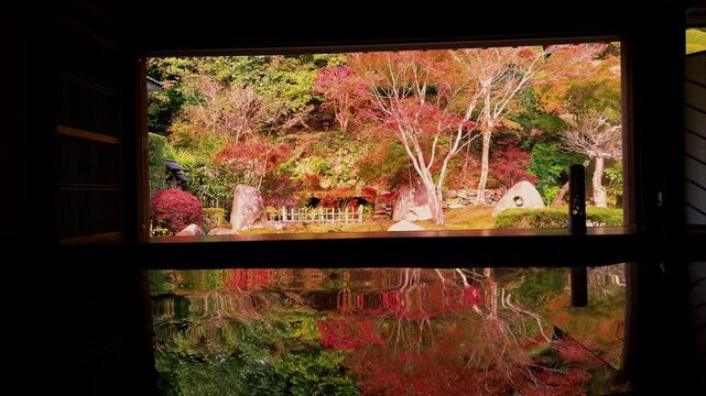 寿福寺の逆さ紅葉