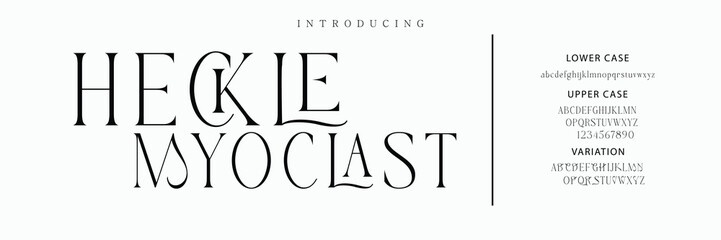 Luxury wedding alphabet font. Typography decorative elegant classic lettering serif fonts vintage retro for logo.