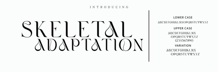 Luxury wedding alphabet font. Typography decorative elegant classic lettering serif fonts vintage retro for logo.