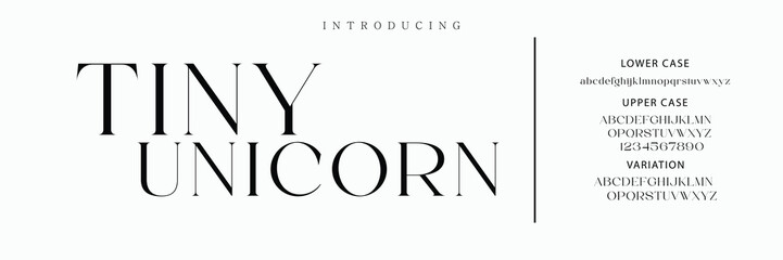 Luxury wedding alphabet font. Typography decorative elegant classic lettering serif fonts vintage retro for logo.