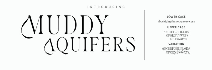 Luxury serif font in modern style. Elegant wedding alphabet letters font and number. Typography Luxury classic lettering serif fonts decorative vintage retro logo