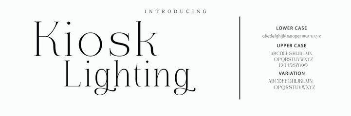 Luxury serif font in modern style. Elegant wedding alphabet letters font and number. Typography Luxury classic lettering serif fonts decorative vintage retro logo