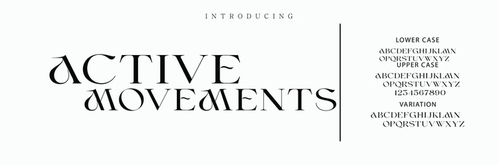 Luxury serif font in modern style. Elegant wedding alphabet letters font and number. Typography Luxury classic lettering serif fonts decorative vintage retro logo