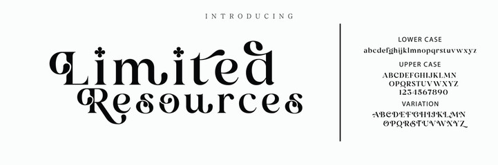 Luxury serif font in modern style. Elegant wedding alphabet letters font and number. Typography Luxury classic lettering serif fonts decorative vintage retro logo