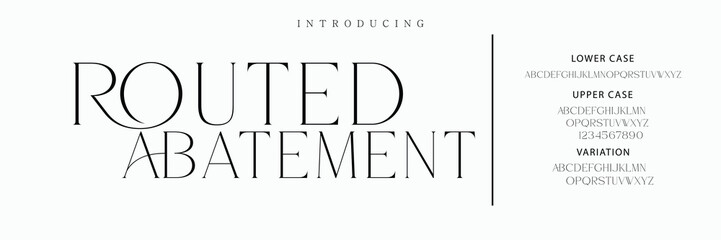 Luxury serif font in modern style. Elegant wedding alphabet letters font and number. Typography Luxury classic lettering serif fonts decorative vintage retro logo