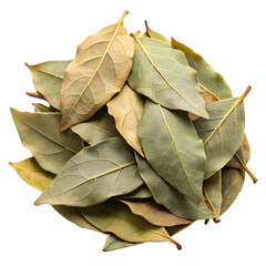 raw organic dry bay leave on transparent background