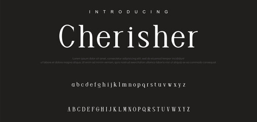 Luxury serif font in modern style. Elegant wedding alphabet letters font and number. Typography Luxury classic lettering serif fonts decorative vintage retro logo