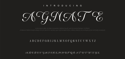 Luxury serif font in modern style. Elegant wedding alphabet letters font and number. Typography Luxury classic lettering serif fonts decorative vintage retro logo