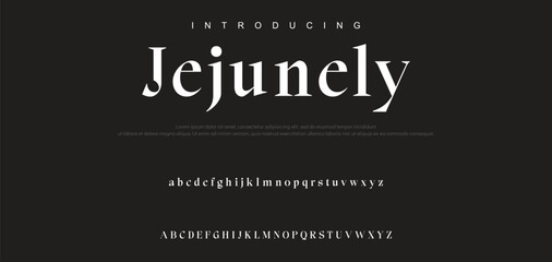 Luxury serif font in modern style. Elegant wedding alphabet letters font and number. Typography Luxury classic lettering serif fonts decorative vintage retro logo