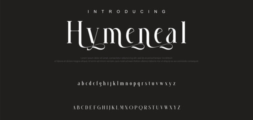 Luxury serif font in modern style. Elegant wedding alphabet letters font and number. Typography Luxury classic lettering serif fonts decorative vintage retro logo