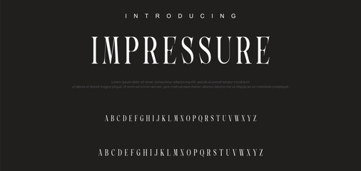 Luxury serif font in modern style. Elegant wedding alphabet letters font and number. Typography Luxury classic lettering serif fonts decorative vintage retro logo