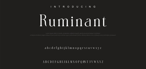 Luxury serif font in modern style. Elegant wedding alphabet letters font and number. Typography Luxury classic lettering serif fonts decorative vintage retro logo