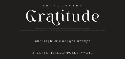 Luxury serif font in modern style. Elegant wedding alphabet letters font and number. Typography Luxury classic lettering serif fonts decorative vintage retro logo