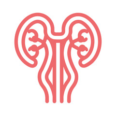 Urinary System Vector Design for Education