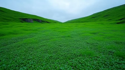 Lush green landscape with rolling hills under a cloudy sky.