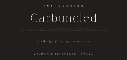 Luxury wedding alphabet font. Typography decorative elegant classic lettering serif fonts vintage retro for logo.