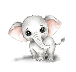 Watercolor Baby Elephant. cute cartoon illustration. Isolated on a white background.