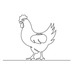 Hen in continuous line art drawing style. Chicken minimalist black linear design isolated on white background, One continuous line drawing of a hen.one line drawing of a broiler.