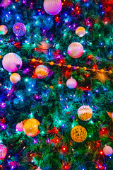 It's colorful and very beautiful.