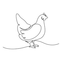Hen in continuous line art drawing style. Chicken minimalist black linear design isolated on white background, One continuous line drawing of a hen.one line drawing of a broiler.