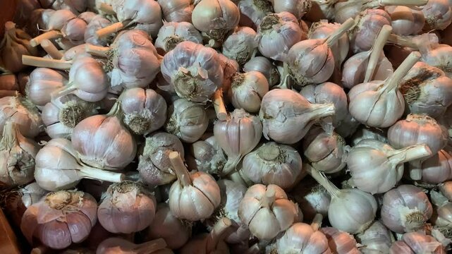 A pile of fresh garlic bulbs stacked in a market display.