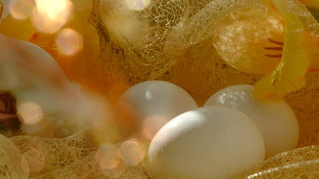 Easter decorations, white eggs and fresh flowers. Easter still life. Sunlight and pastel colors