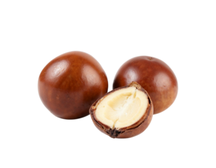 chestnuts isolated on white background