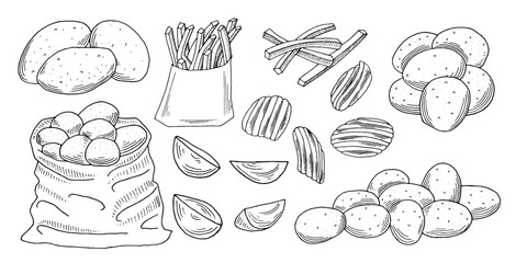 Potato set. Hand drawn French fries, potato tubers, potato chips, and rustic potatoes. Sketch style drawing collection vector illustrations.