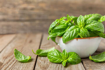 Green basil leaves on a textured wooden background. Kitchen herbs, spices. Fresh green organic basil. Vegan. Greens for salad. Place for text. Copy space.