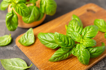 Green basil leaves on a textured wooden background. Kitchen herbs, spices. Fresh green organic basil. Vegan. Greens for salad. Place for text. Copy space.
