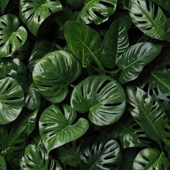 Obraz premium green leaves background