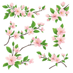 Spring set of flowering branches. Cherry blossoms sakura branch with flowers in silhouette style. Vector botanical isolated illustration.