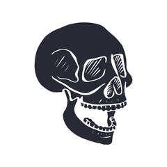 Hand drawn black silhouette human skull isolated on white background. Monochrome skeleton head desig