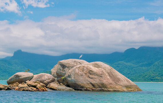 Heron alone on top of a rock on the sea with mountains at background. Paraty, Rio de Janeiro, Brazil. Beautiful landscape.