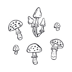 Hand drawn monochrome inky sketch style amanita mushrooms set. Poisonous fungy black and white doodles bundle