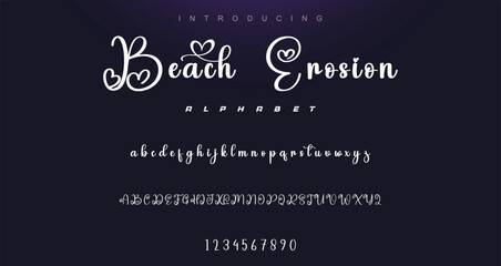 signature Font Calligraphy Logotype Script Brush Font Type Font lettering handwritten