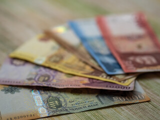 Hungarian money HUF paper money coin devisa finance business
