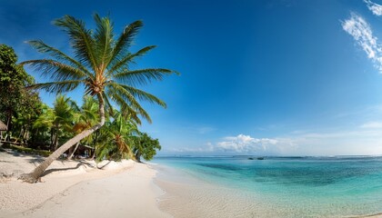 Obraz premium beautiful white beach with palm timber within the north of nusa lembongan bali indonesia an excellent region to loosen up